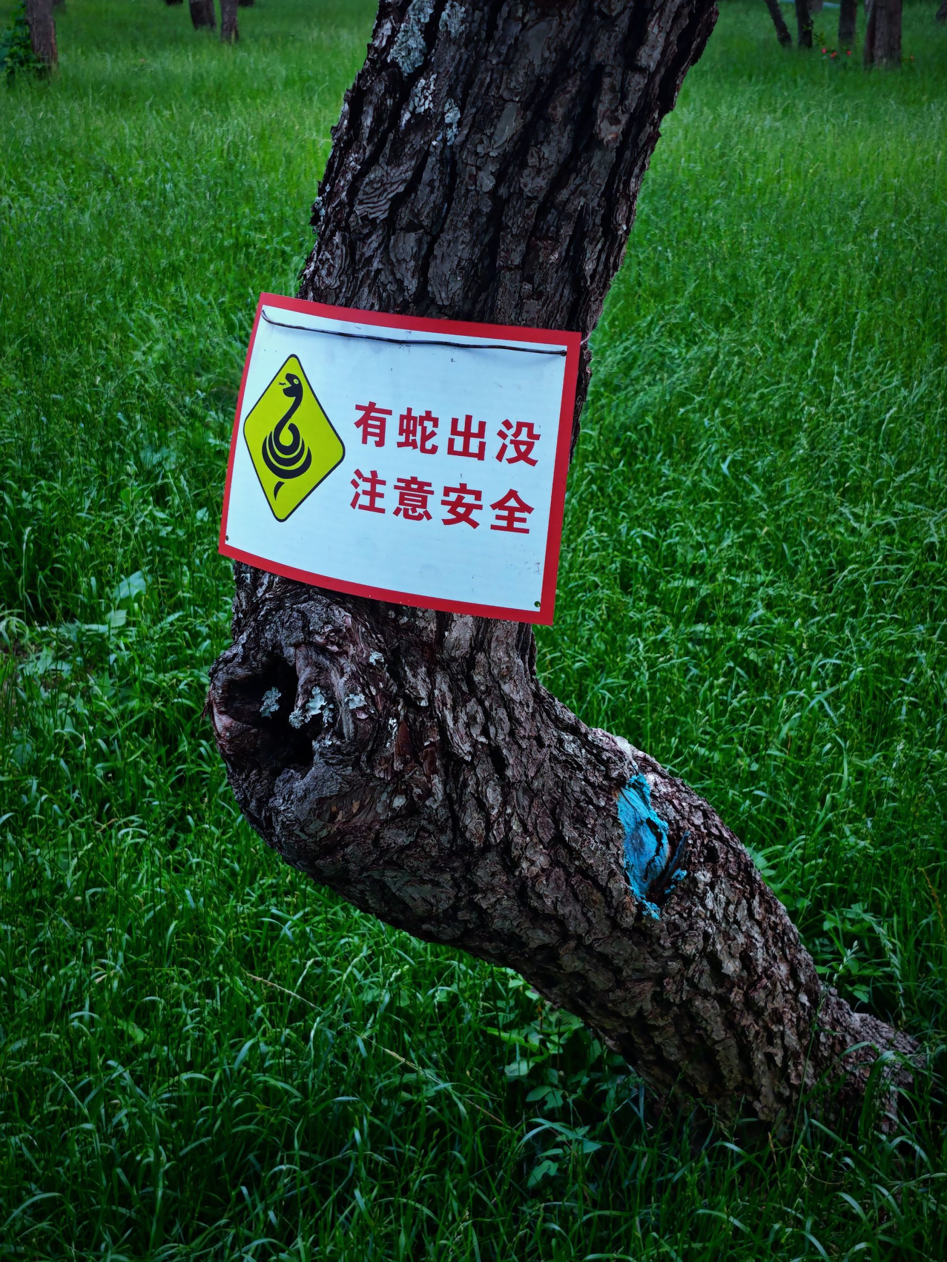 2026年每日一拍 169/365
