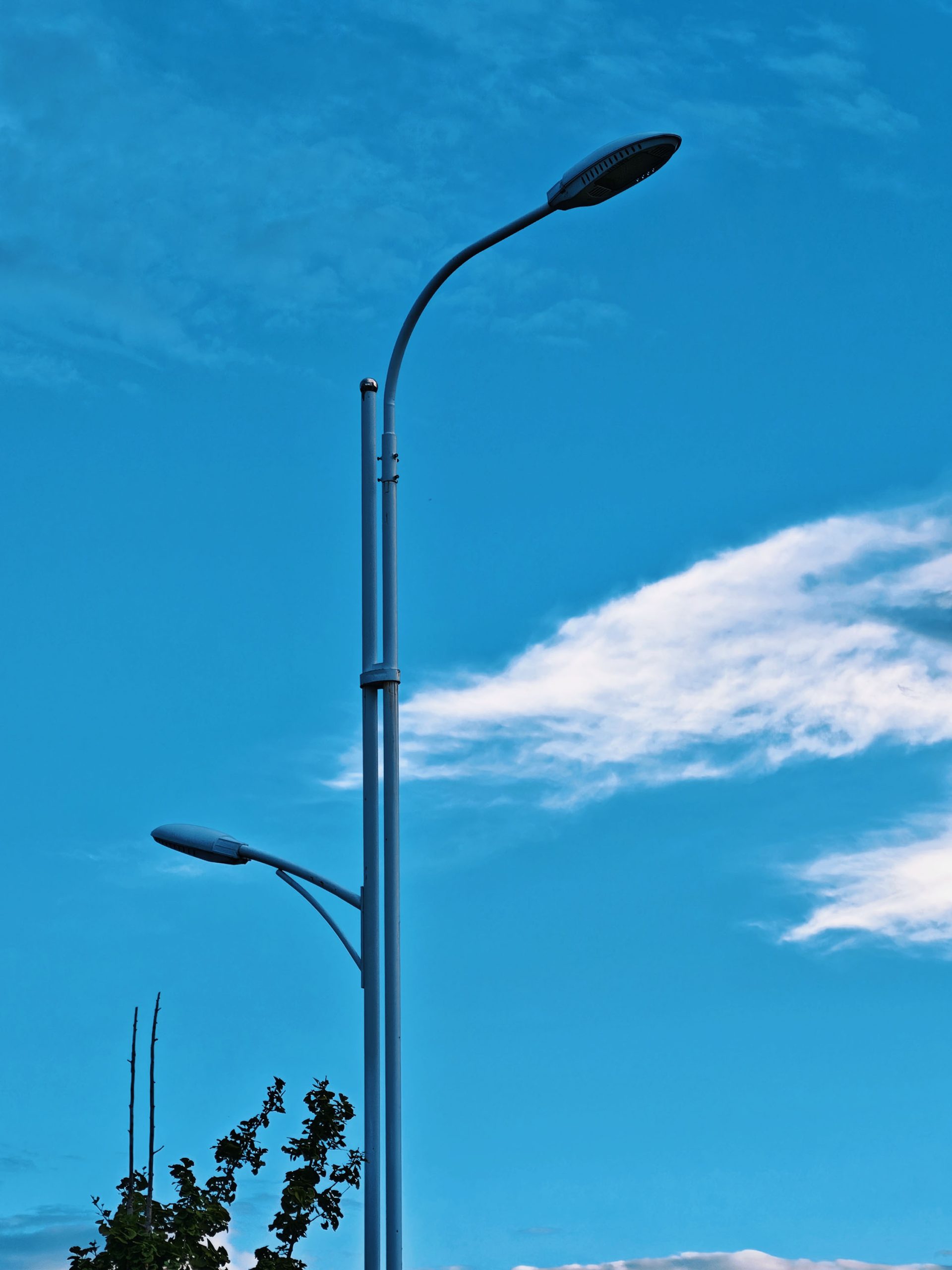 2026年每日一拍 176/365