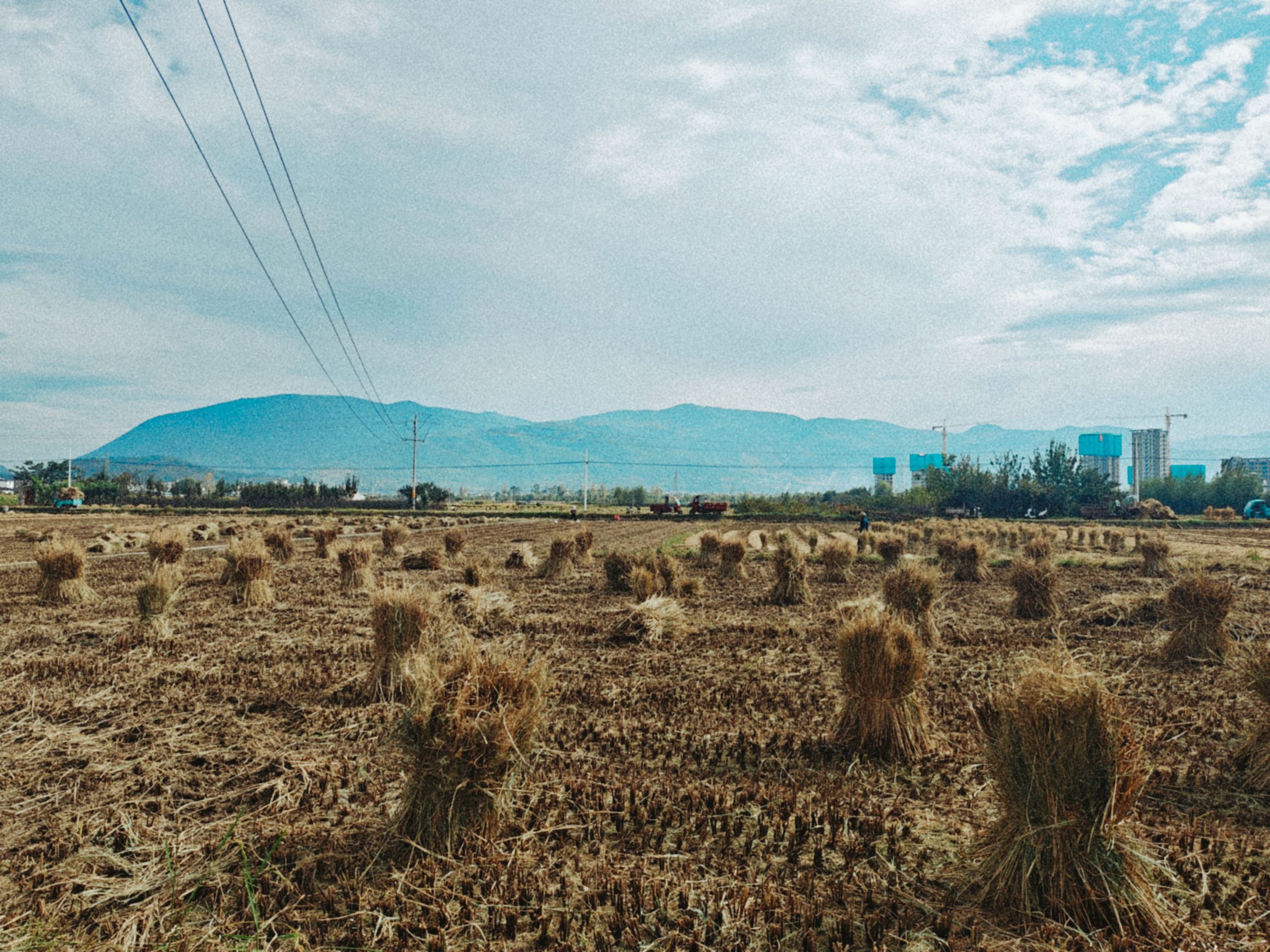 2026年每日一拍 258/365