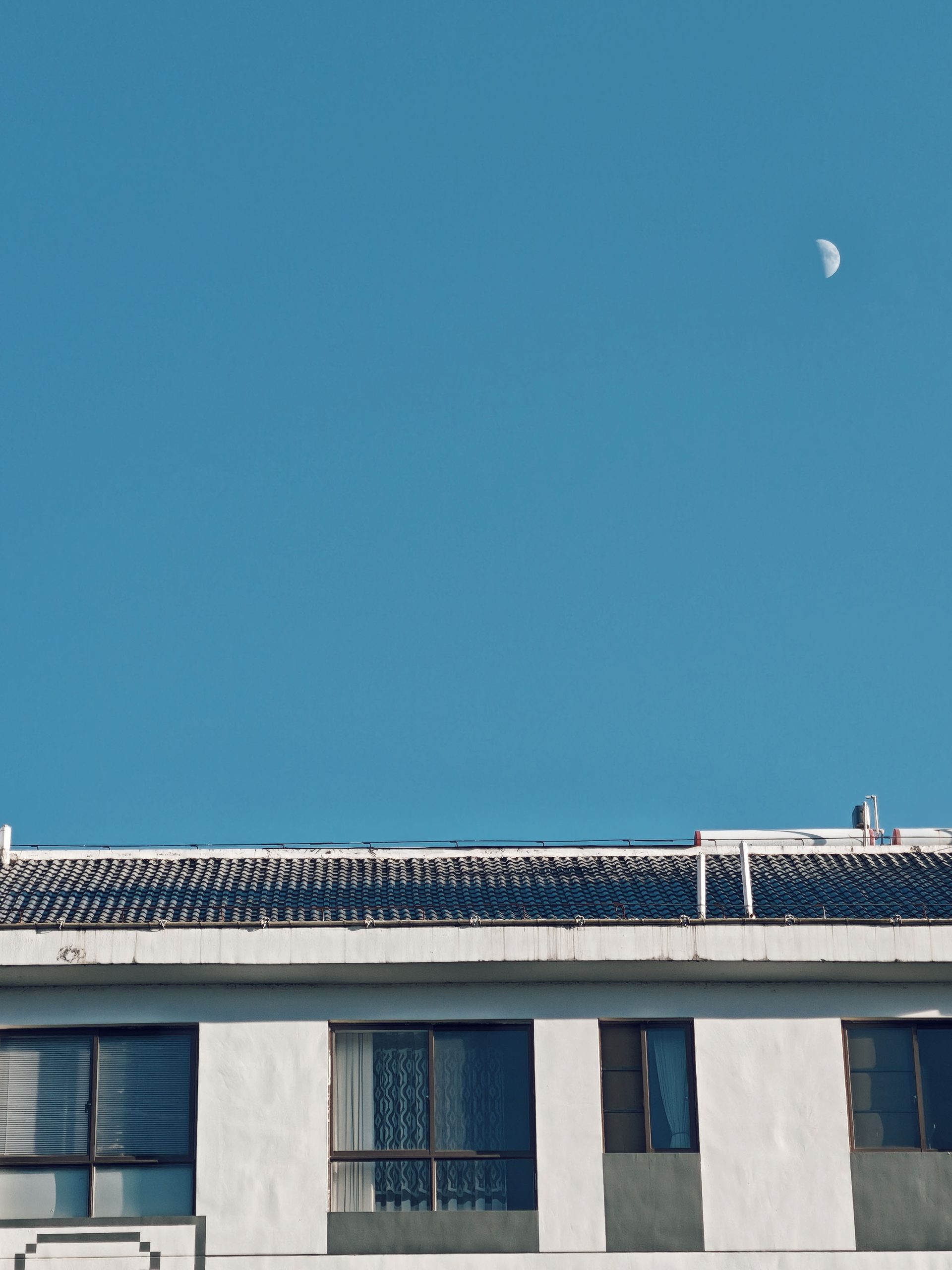 2026年每日一拍 263/365
